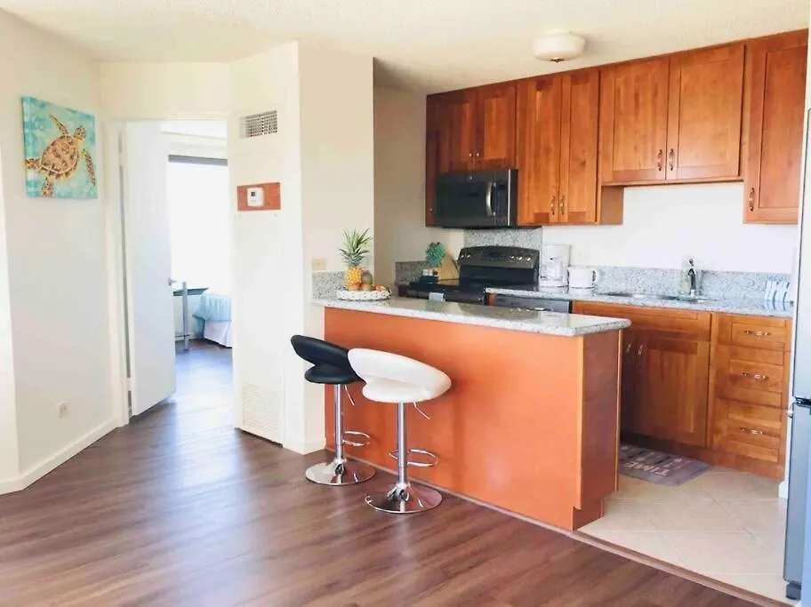 Waikiki Panoramic Ocean View Apartment Honolulu